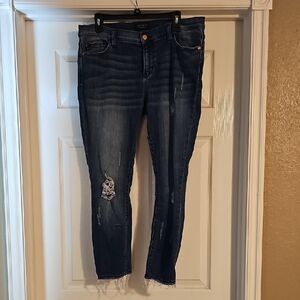 Judy Blue Midnight Distressed Ankle Jeans